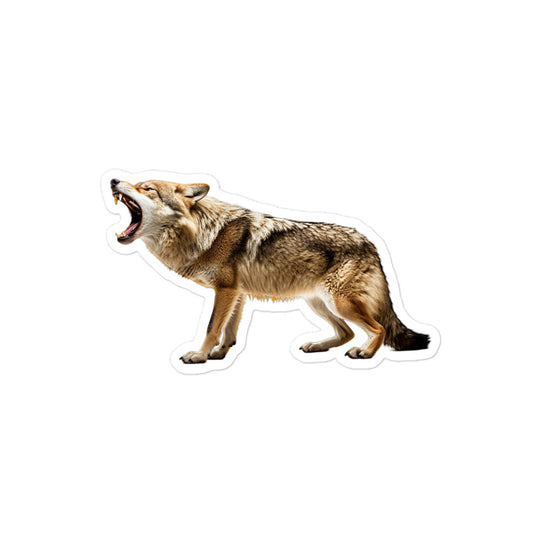 Coyote Sticker