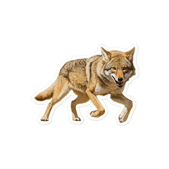 Coyote Sticker