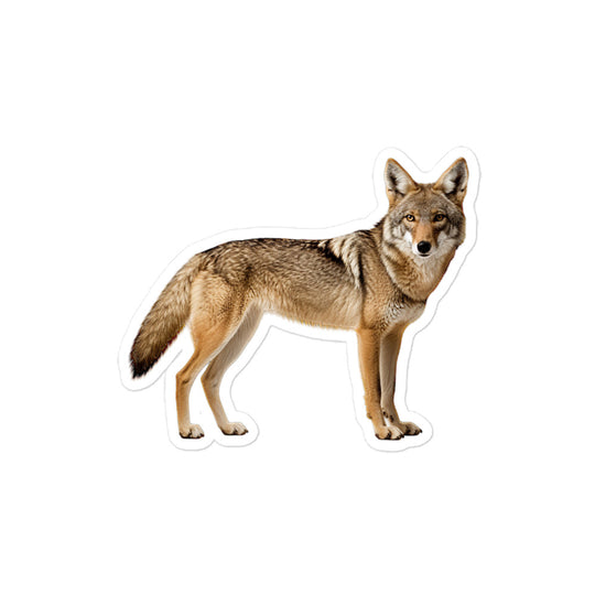 Coyote Sticker