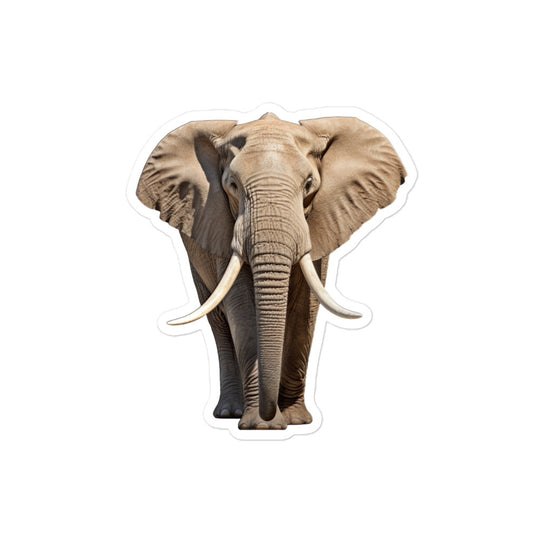 African Bush Elephant Sticker