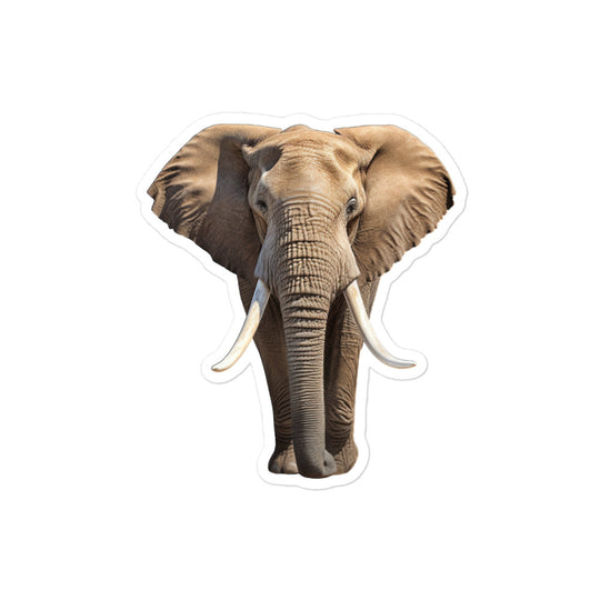 African Bush Elephant Sticker