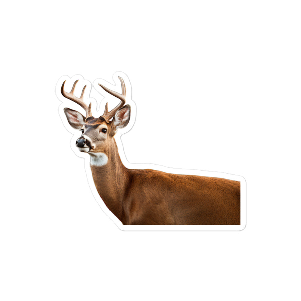 White Tailed Deer Sticker