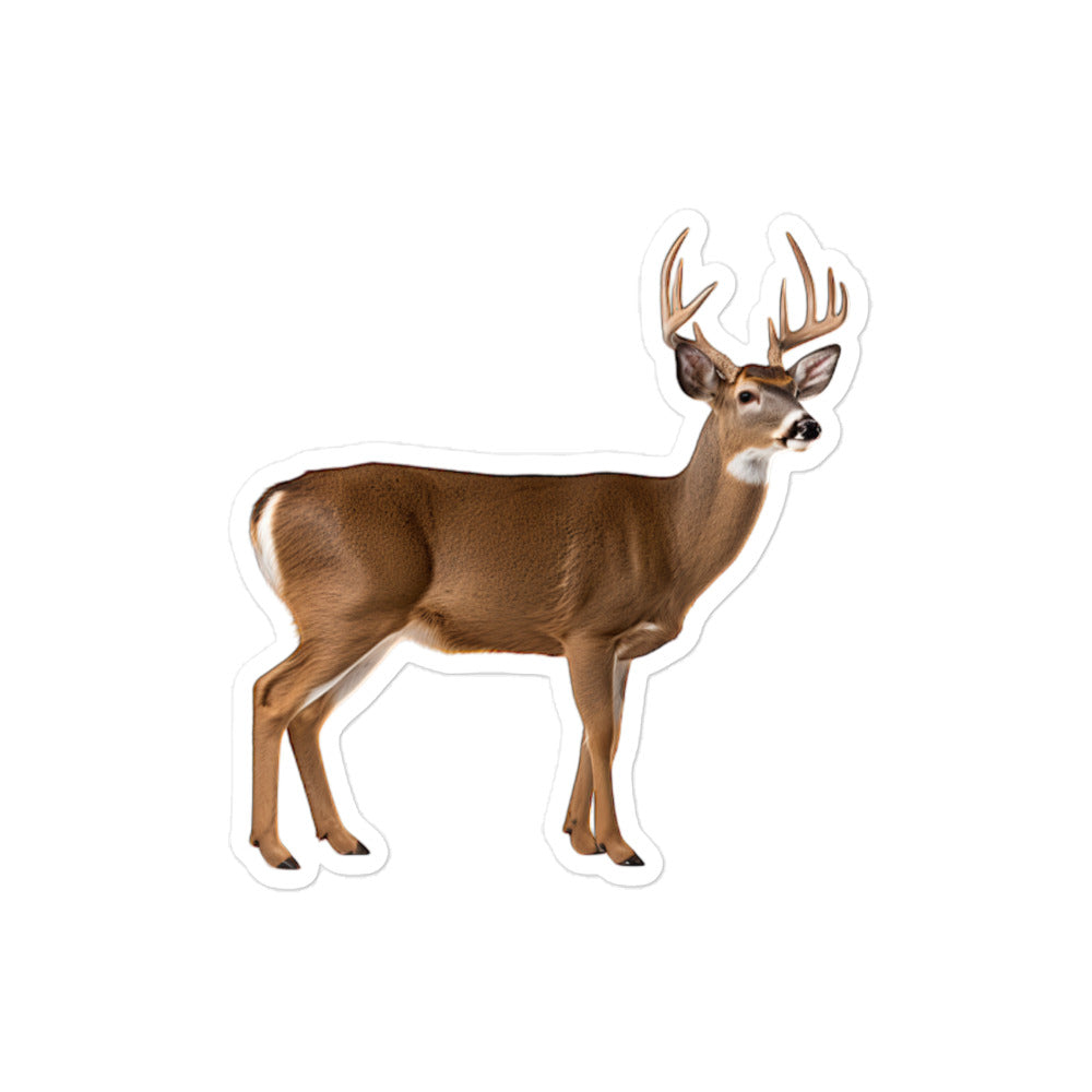 White Tailed Deer Sticker