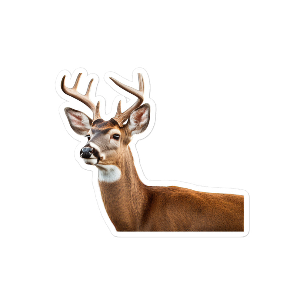 White Tailed Deer Sticker