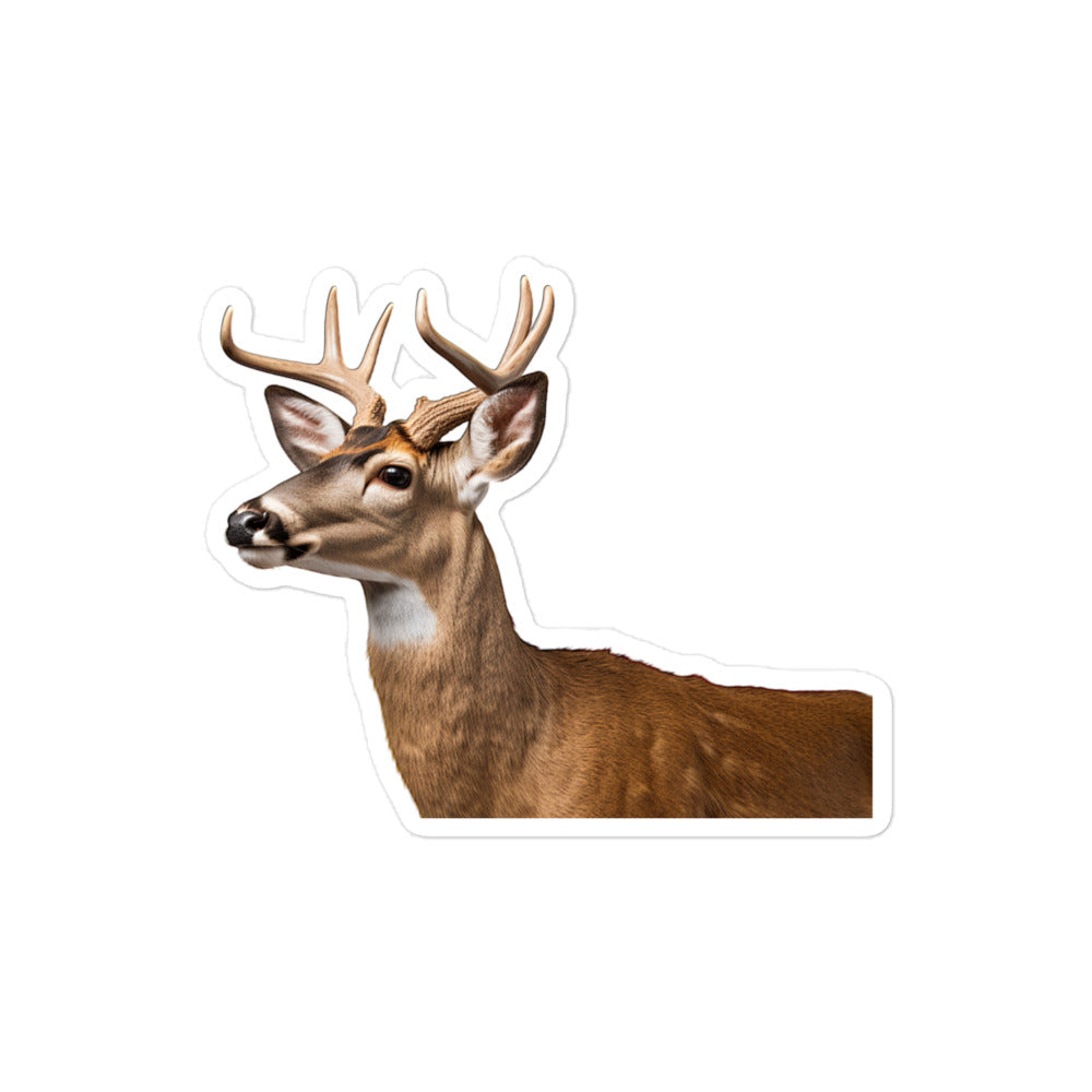 White Tailed Deer Sticker