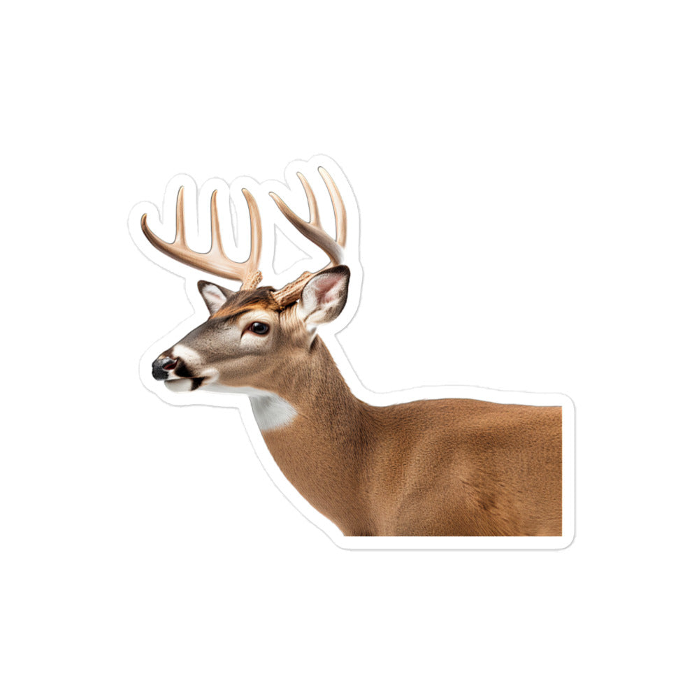 White Tailed Deer Sticker