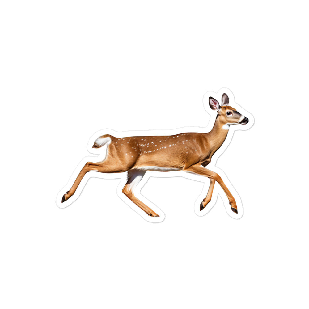 White Tailed Deer Sticker