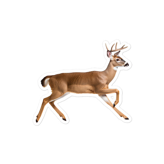 White Tailed Deer Sticker