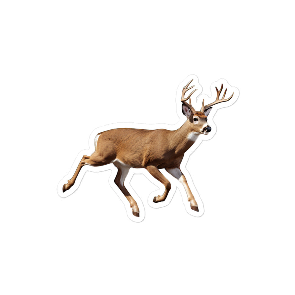 White Tailed Deer Sticker