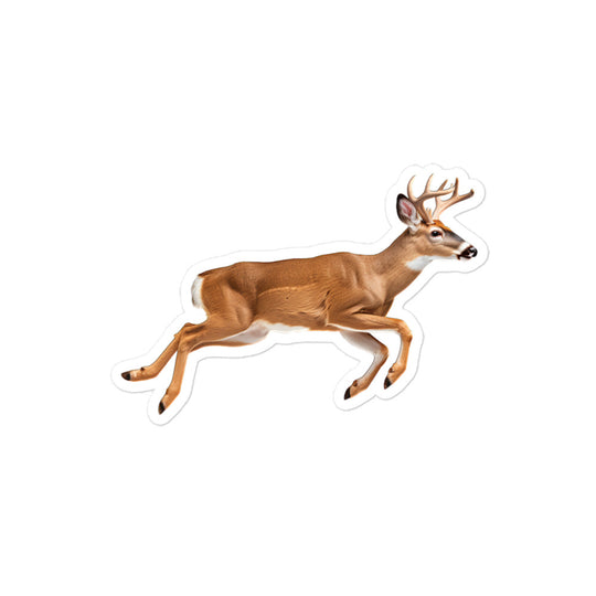 White Tailed Deer Sticker