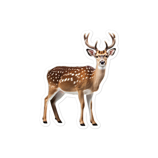 Fallow Deer Sticker