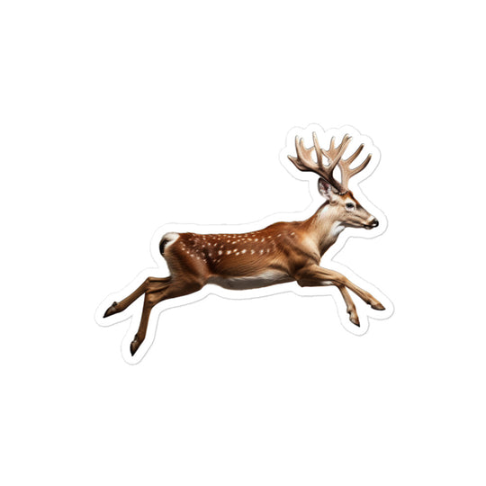 Fallow Deer Sticker