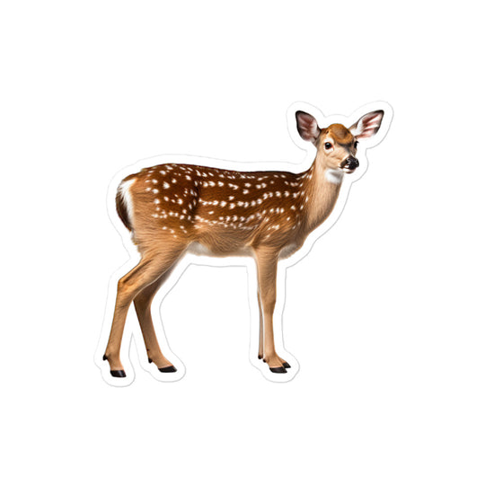 Fallow Deer Sticker