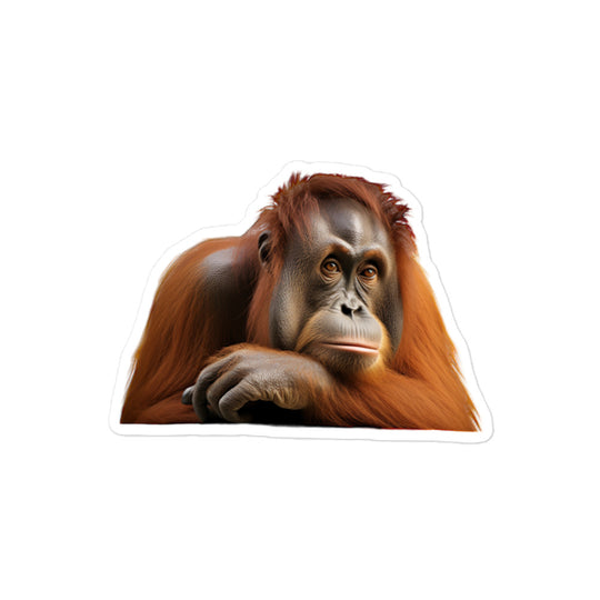 Orangutan Sticker