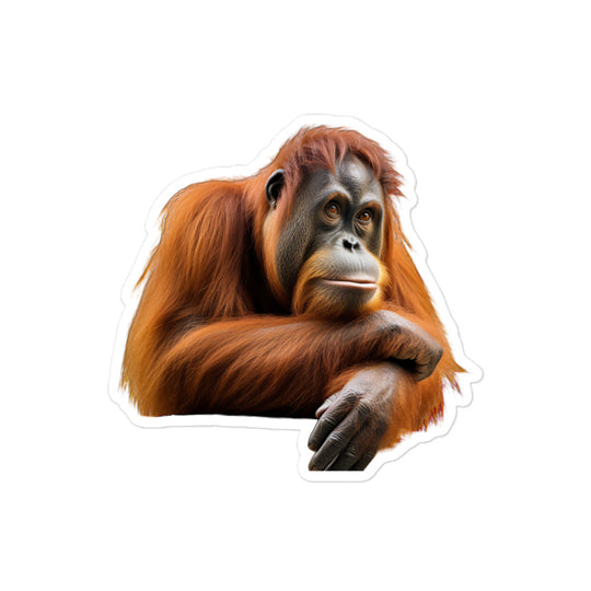 Orangutan Sticker