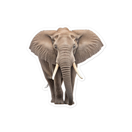 African Forest Elephant Sticker