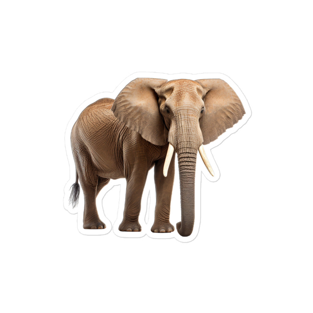 African Forest Elephant Sticker