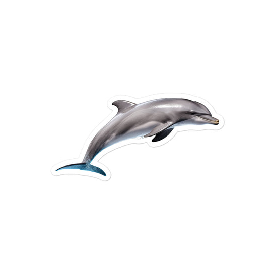 Dolphins Sticker