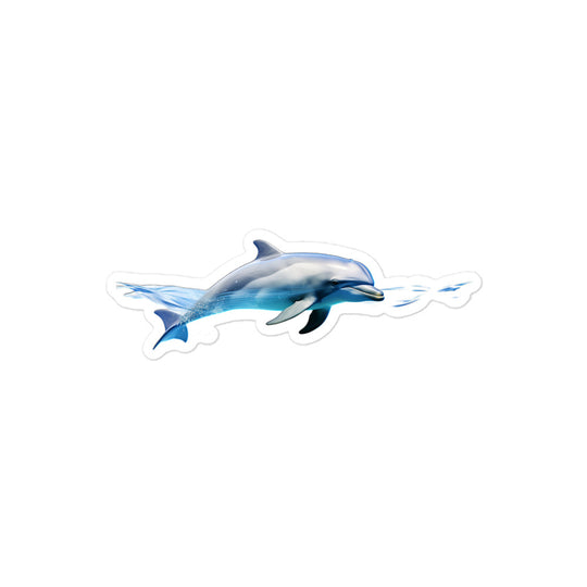 Dolphins Sticker