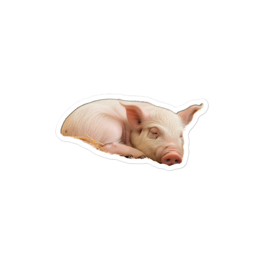 Pig Sticker