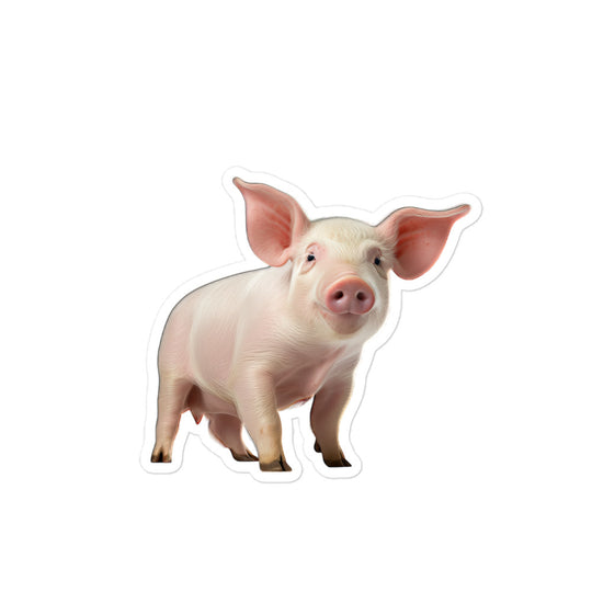 Pig Sticker