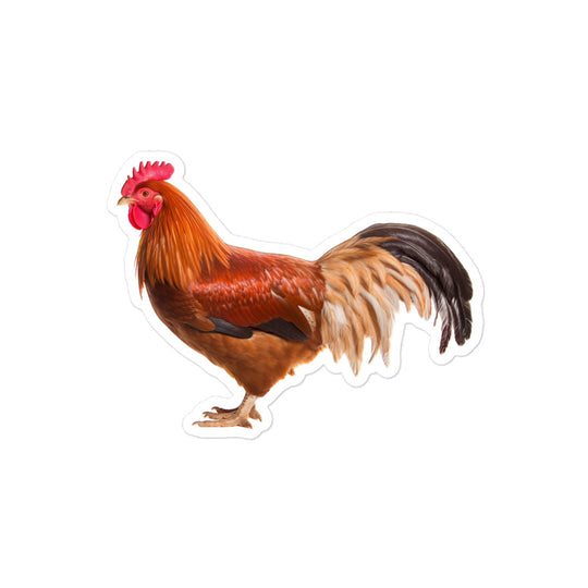 Chicken Sticker