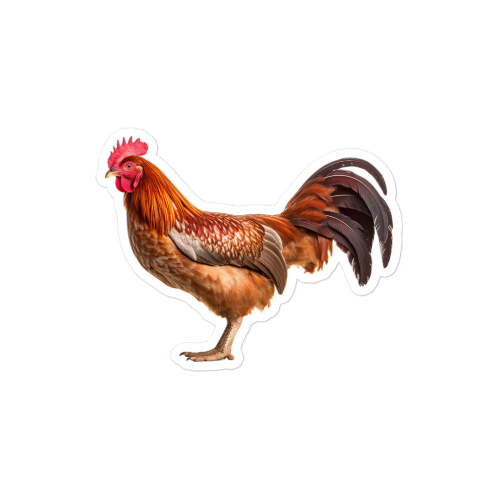 Chicken Sticker