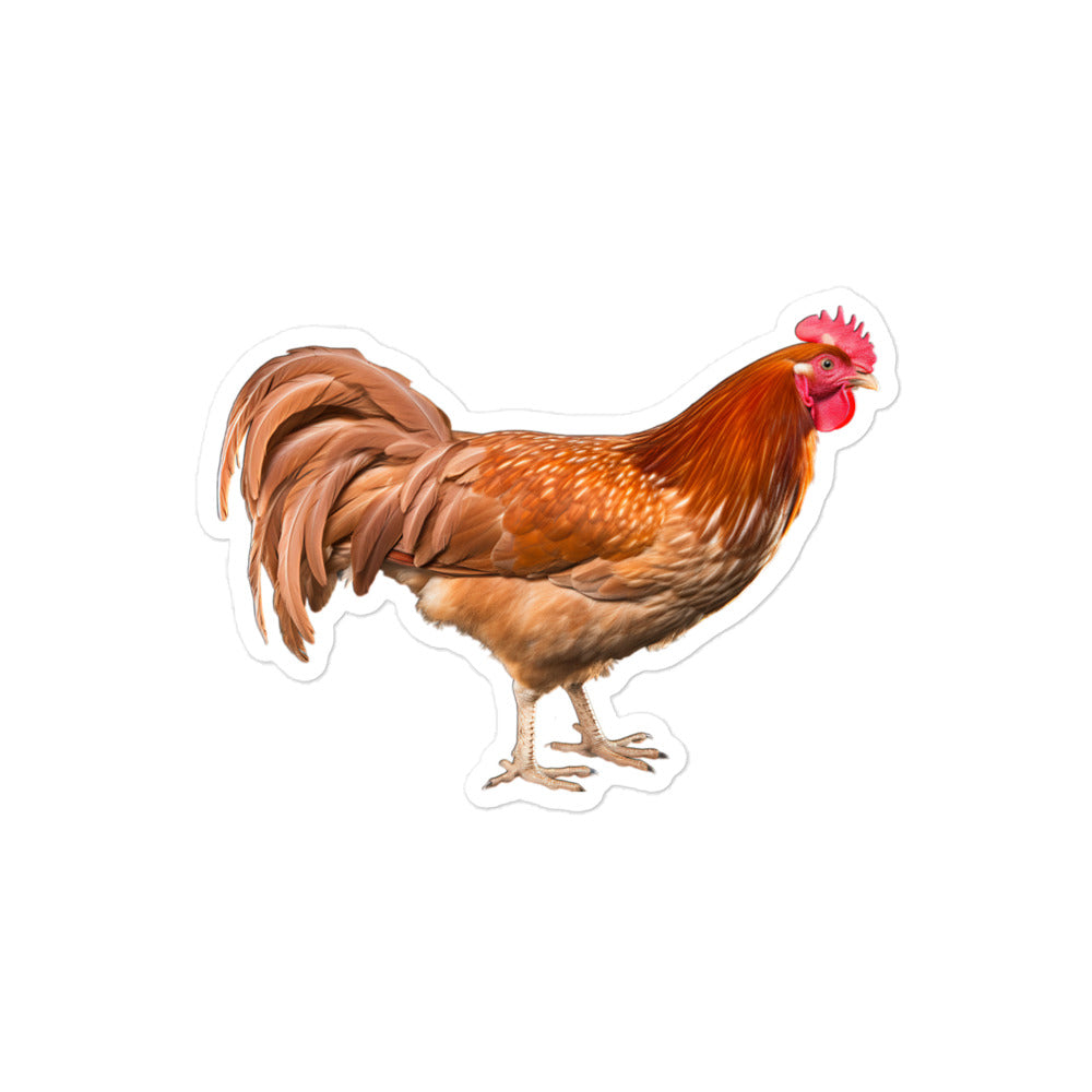 Chicken Sticker