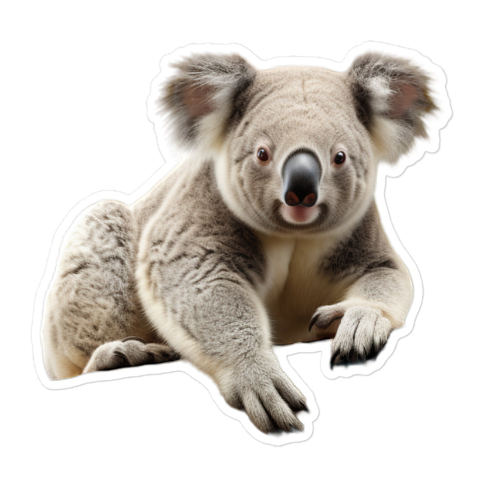 Koala Sticker - Stickerfy.ai