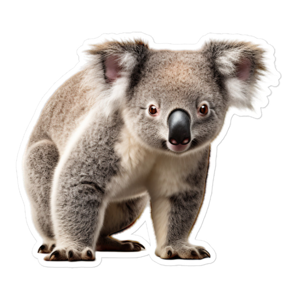 Koala Sticker - Stickerfy.ai