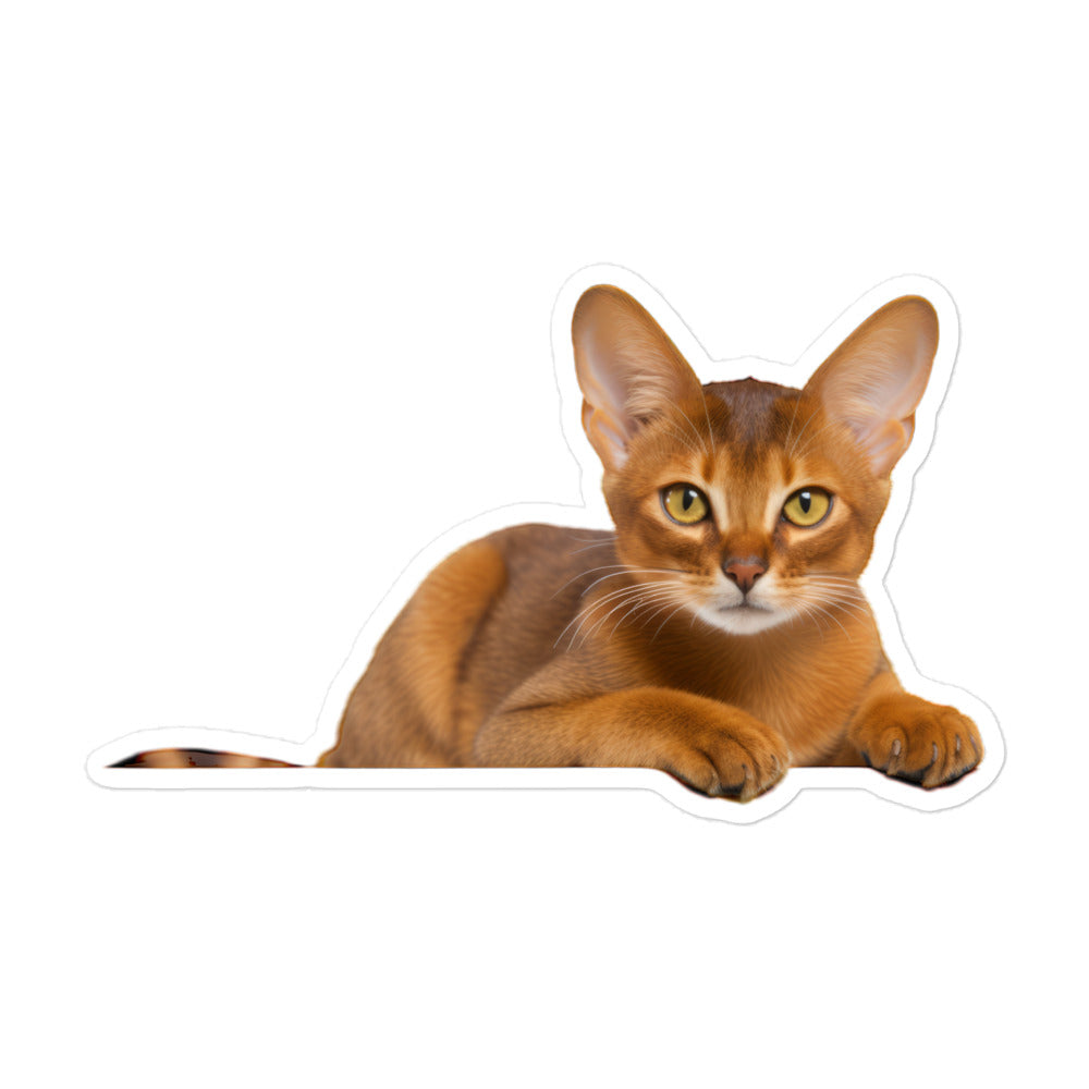 Abyssinian Sticker - Stickerfy.ai