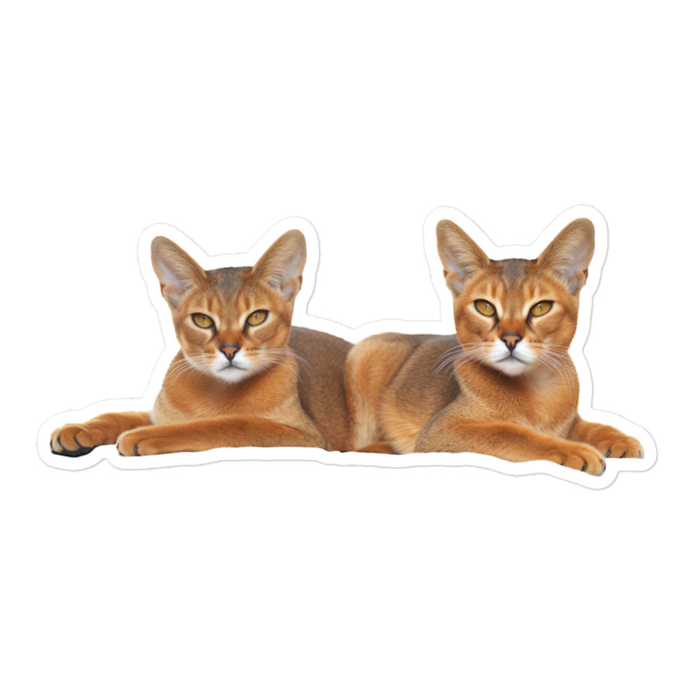 Abyssinian Sticker - Stickerfy.ai