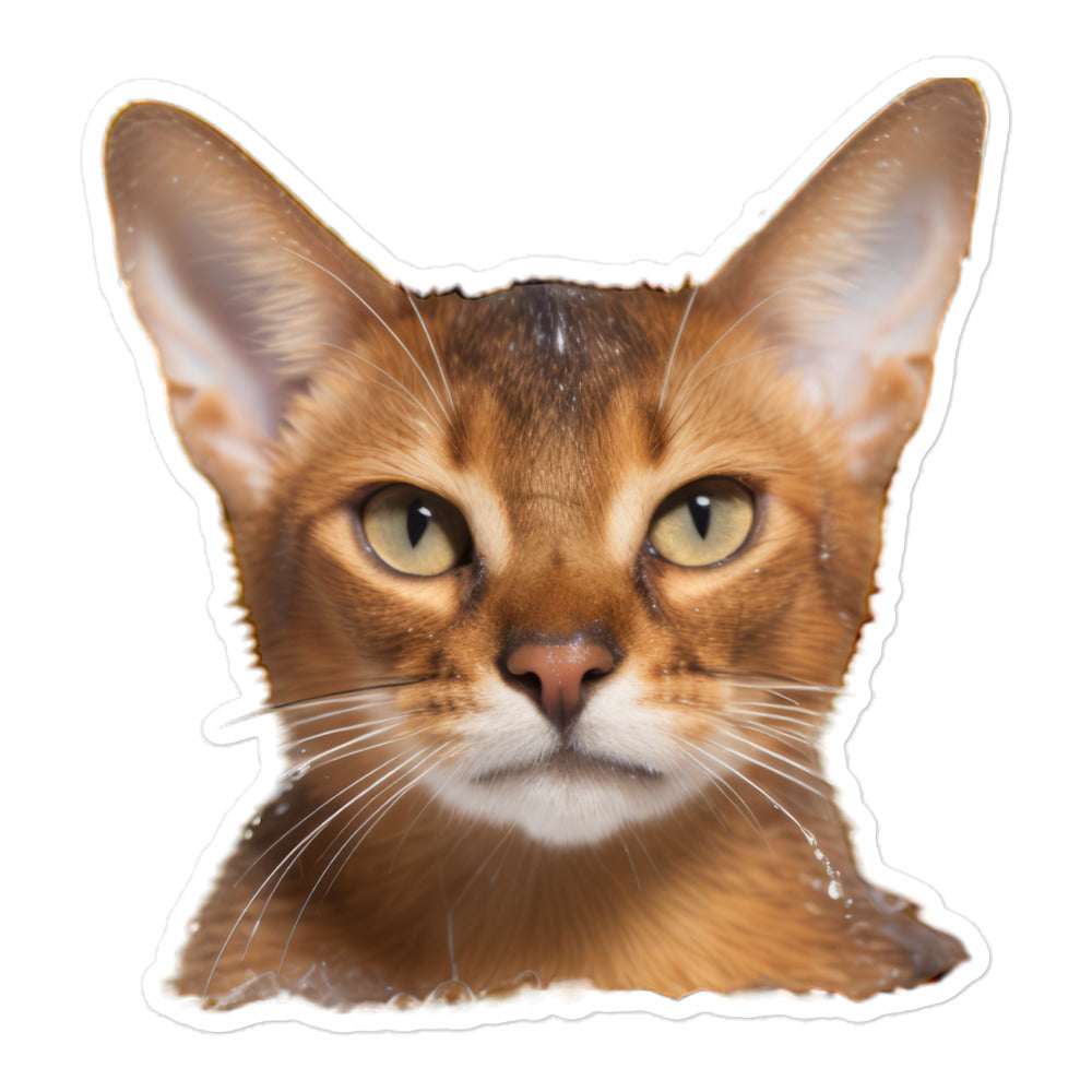 Abyssinian Sticker - Stickerfy.ai
