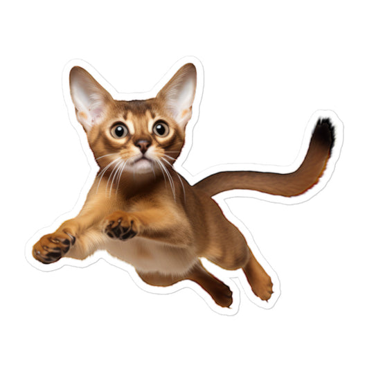 Abyssinian Sticker - Stickerfy.ai