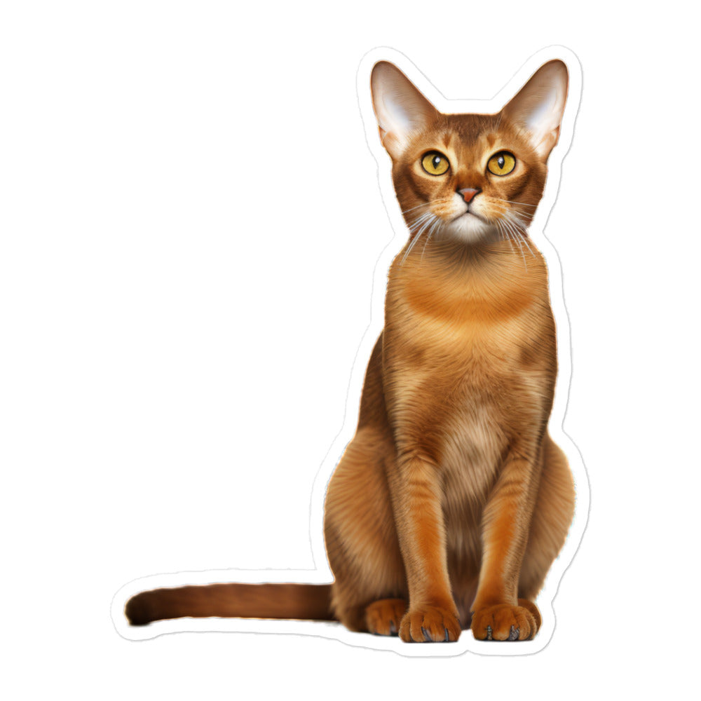 Abyssinian Sticker - Stickerfy.ai