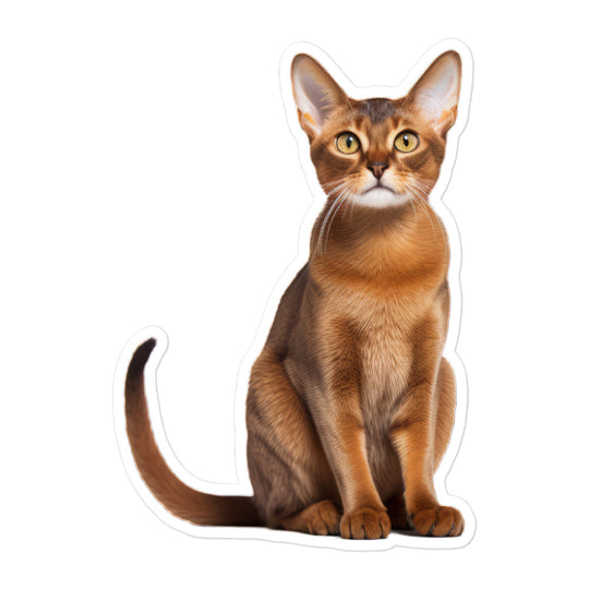 Abyssinian Sticker - Stickerfy.ai