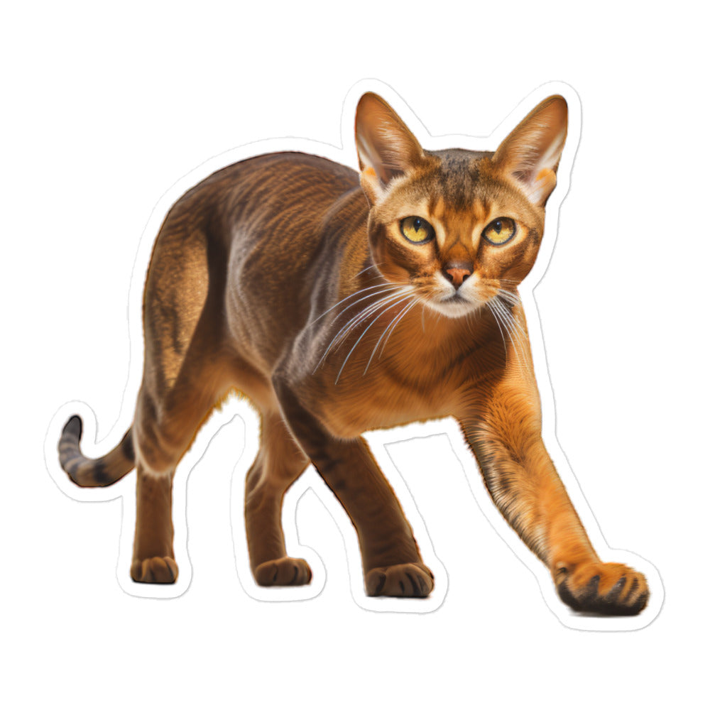 Abyssinian Sticker - Stickerfy.ai