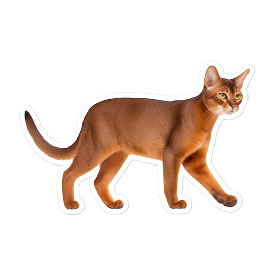 Abyssinian Sticker - Stickerfy.ai