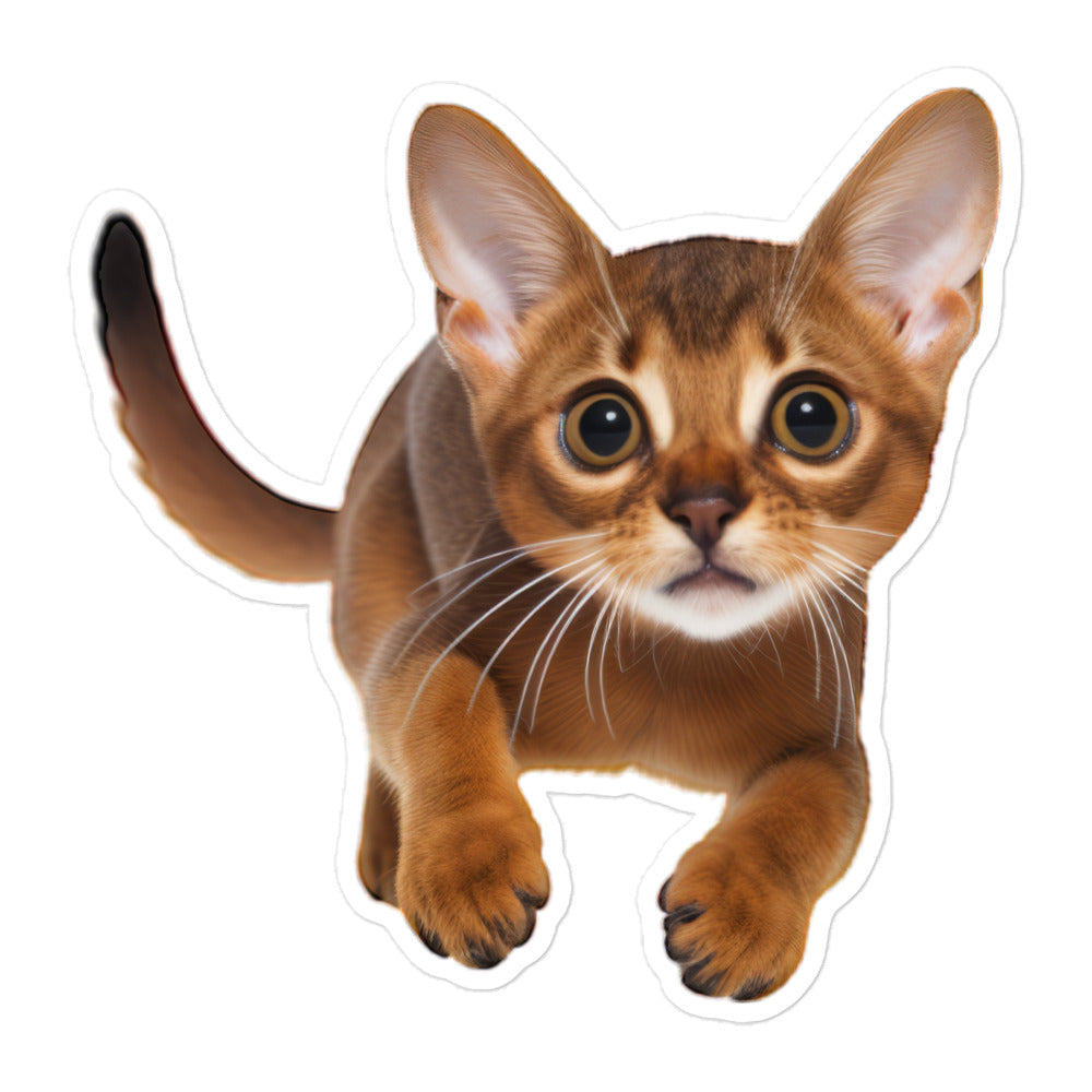 Abyssinian Sticker - Stickerfy.ai