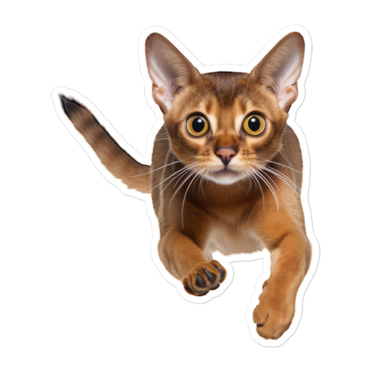 Abyssinian Sticker - Stickerfy.ai