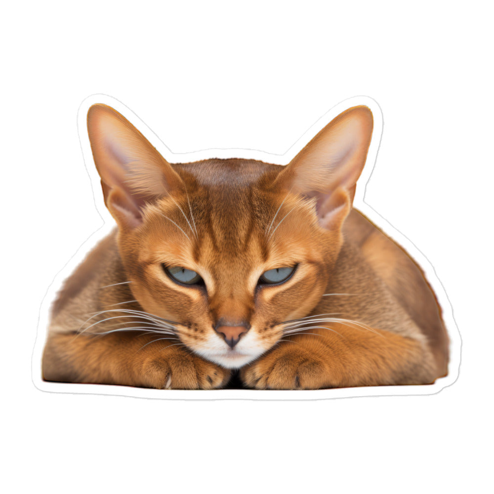 Abyssinian Sticker - Stickerfy.ai