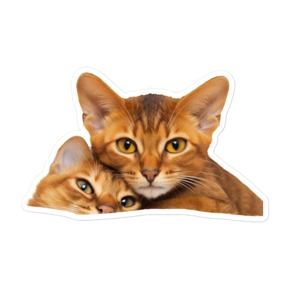 Abyssinian Sticker - Stickerfy.ai
