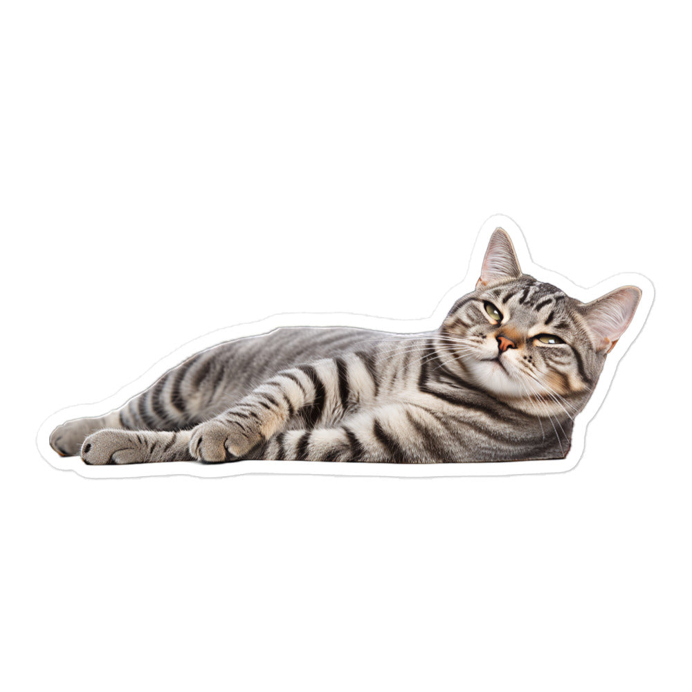 American Shorthair Sticker - Stickerfy.ai