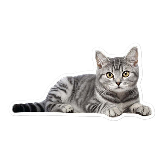 American Shorthair Sticker - Stickerfy.ai