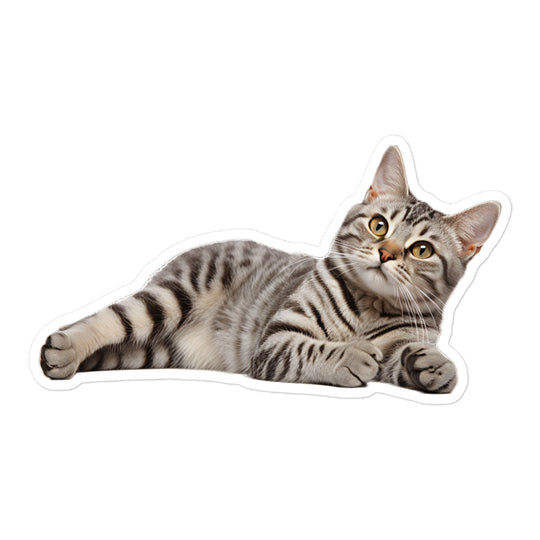 American Shorthair Sticker - Stickerfy.ai