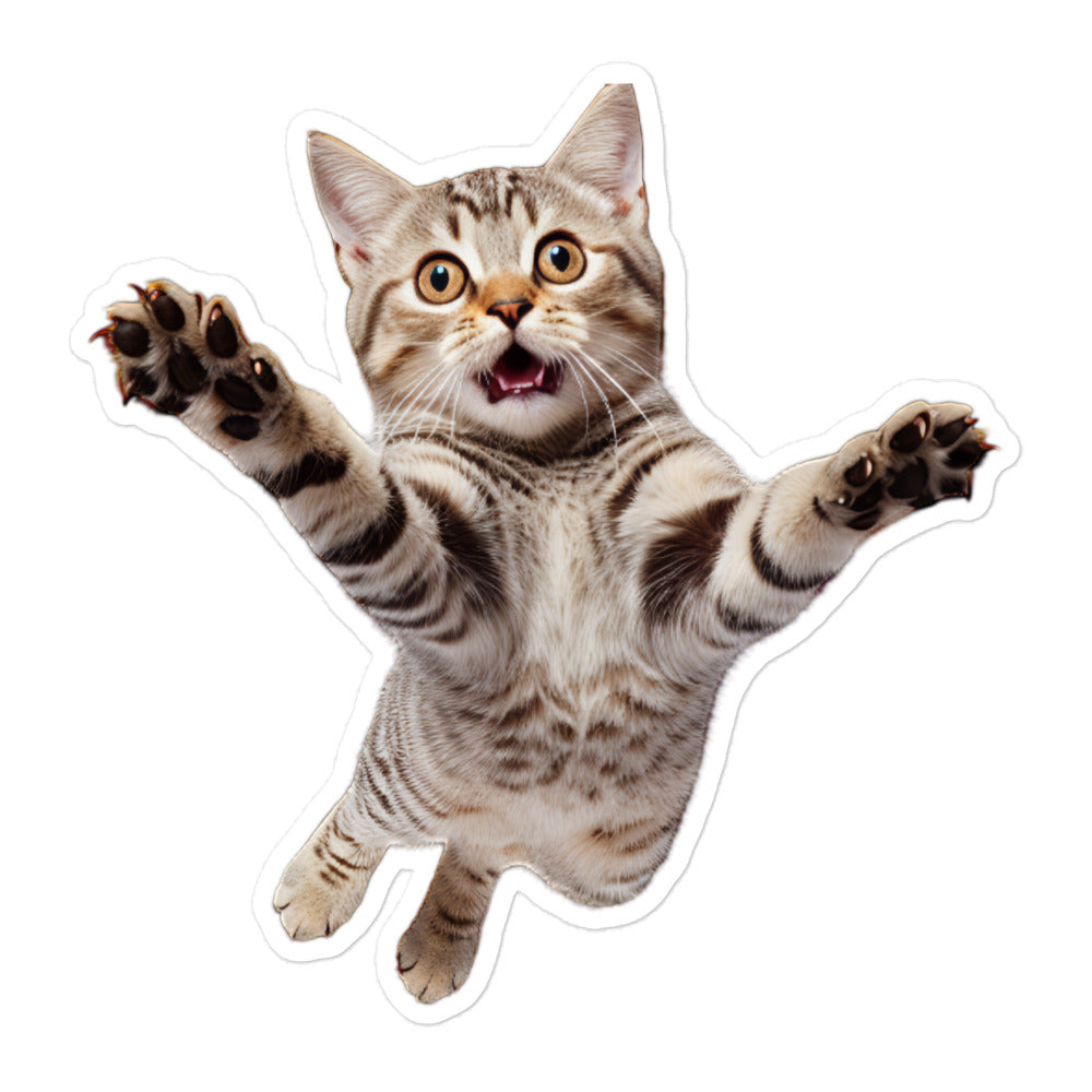 American Shorthair Sticker - Stickerfy.ai