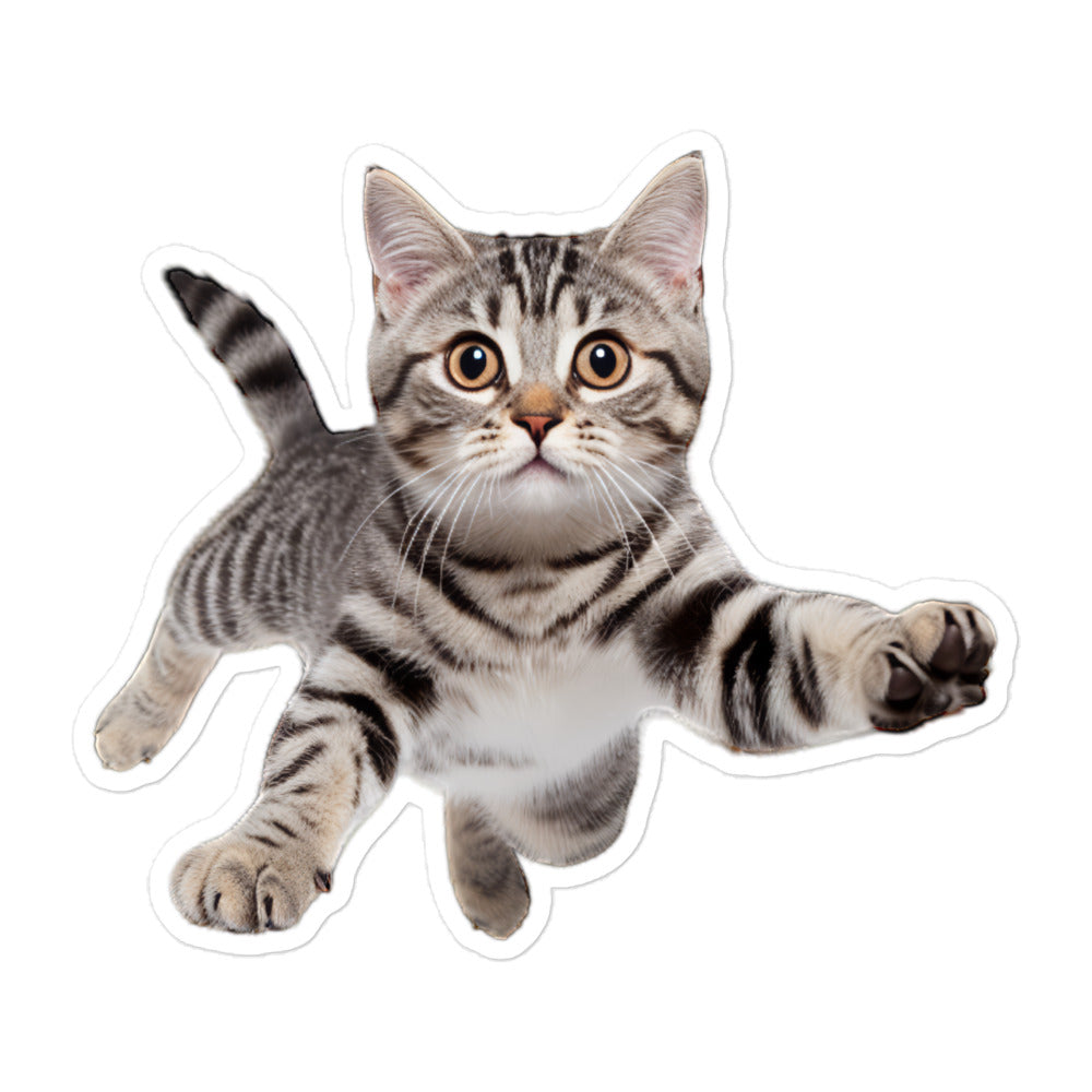 American Shorthair Sticker - Stickerfy.ai