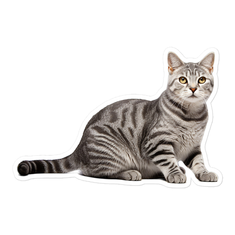 American Shorthair Sticker - Stickerfy.ai