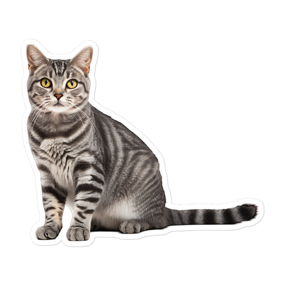 American Shorthair Sticker - Stickerfy.ai