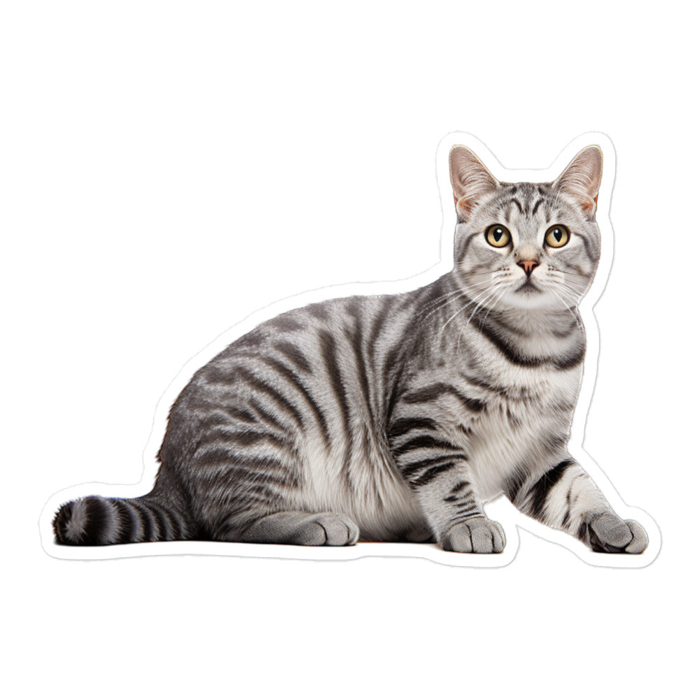American Shorthair Sticker - Stickerfy.ai